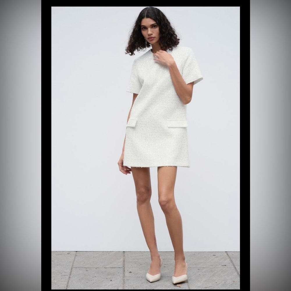 Zara sequin dress